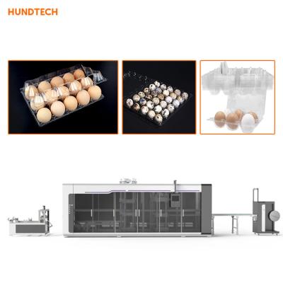 China Vacuum Organization Egg Tray Making Machine Plastic Thermoforming Equipment for sale