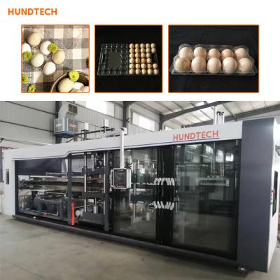 China APET Egg Tray Moulding Machine PLC Blister Thermoforming 120mm for sale