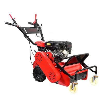 China 4-Stroke CE Certificate 4 Cycle 212Cc Walk Behind Gas Powered Hammer Blade Flail Mower for sale