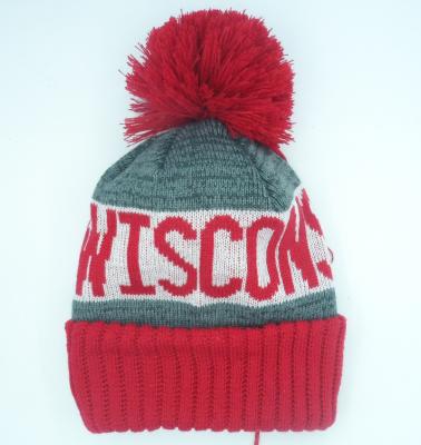 China COMMON 2020 Popular Design Print Beanies In Many Style for sale