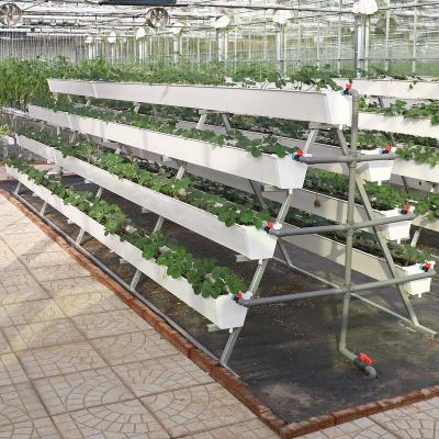 China Planting Vegetables Single Span Greenhouse With Strawberry Growing System for sale