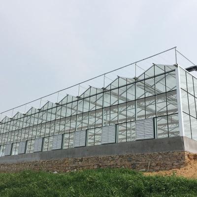 China High Quality Tropical Flower Vegetable Cultivation Etc Multi Span Agriculture Greenhouse for the vegetable for sale