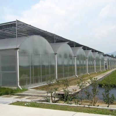 China Good Prices Commercial Multi Span Plants Greenhouse Agricultura Of Flower Vegetables Cultivation Etc. with air ventilation system for sale