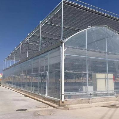 China Multi-span Plastic Sheet Multi-span PO Film Greenhouse Steel Frame Of Flower Vegetables Etc. for vegetables for sale