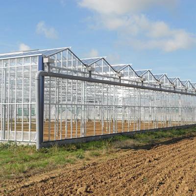 China Outdoor durable greenhouse of flower vegetable cultivation etc. for the greenhouse for sale