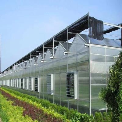 China PVC Span Green Plastic Sheet Green House Strawberry Tomato Systems Turnkey Multi Agricultural Hydroponic Vertical Growing Systems Greenhouse for sale