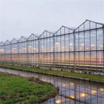 China PVC Polycarbonate Multi Span Greenhouse Durable Greenhouse for sale