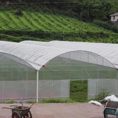 China Flower Vegetable Cultivation Etc Span Plastic Film Green House Strawberry Tomatoes Turnkey Agricultural Multi Span Green House Strawberry Tomato Systems Greenhouse for sale