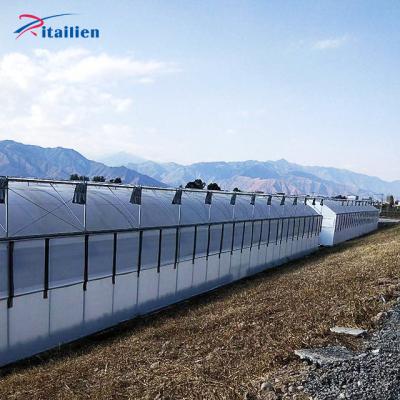 China Galvanized Steel Frame Temperature Control Plastic Sheet Greenhouse Aquaponics Multi-span Vegetable Planting Greenhouses for sale