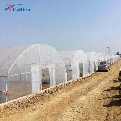 China Galvanized Steel Frame Single Span PE Film Greenhouse Galvanized Steel Frame Commercial Used Tunnel Structure Garden Customizable Walkway for sale