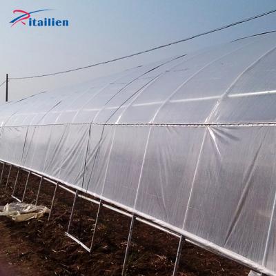 China Galvanized Single Span PE Film Greenhouse High Quality Steel Frame Easy Install Polly Caterpillar Agricultural Blackout Single-Span Garden Greenhouse for sale