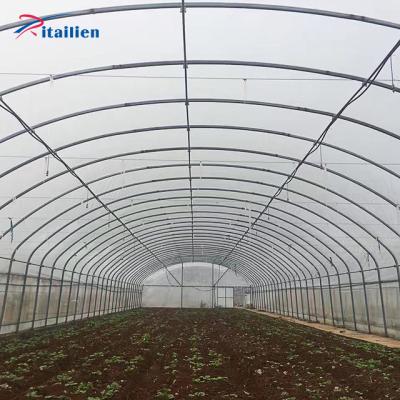 China Vegetables 30 *100 Feet Tunnel Greenhouse Greenhouse Feet For Vegetables for sale