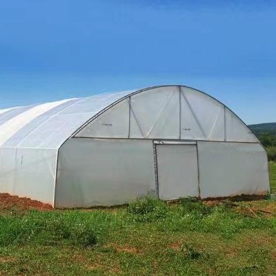 China Flower Vegetable Growing Standard 10m X30m Tunnel Coverd With 200 Micron Greenhouse Plastic for sale