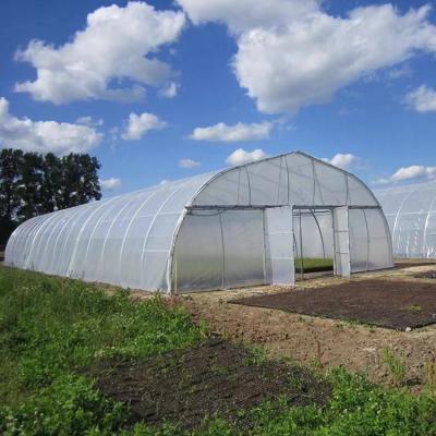 China Stable Structure Easily Assembled Mini Low Cost Poly Tunnel\Plastic Agriculture Film Greenhouse With Hydroponic System for sale