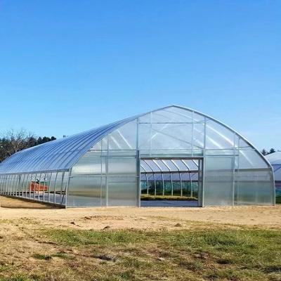 China Stable Structure Easily Assembled High Quality Single Span Polyethylene 9m *50m High Tunnel Vegetable Greenhouse For Sale for sale