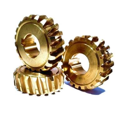 China The latest hot selling worm gear machine parts printing wear-resistant worm gear garden plant parts for sale