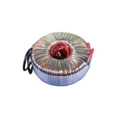 China Output 12V 24V 36V 48V Medical Equipment Electronic Toroidal Coil Transformers 300VA for sale