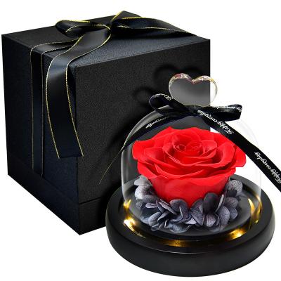 China Beautiful Flower Gift Preserved Flowers Forever Preserved Rose Box In Glass Dome for sale