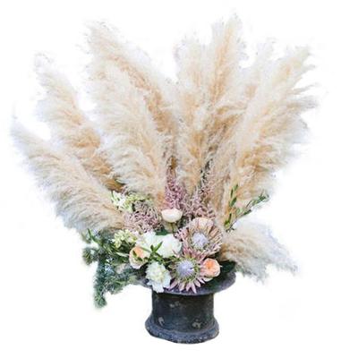 China Hot Sale Durable White Fake Pampas Grass Plant Artificial Pampas Grass For Home Decoration for sale