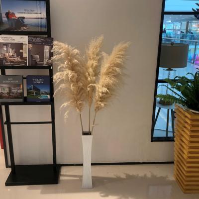 China Amazon Success Lasting Decoration Dried Flowers Brown White For Pampas Grass Tall Pampas Grass For Home Decor Or Weddings for sale