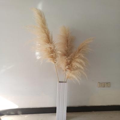 China Durable Cheap Dry Decorative Artificial Pampas Grass Door Flower Artificial Flowers For Wedding Faux Pampas Grasspas Grass For Amazon for sale