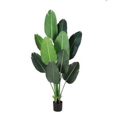 China Home Decor Plastic Plants Artificials Green Flocking Eucalyptus Bonsai Trees Artificial Potted Plant for sale