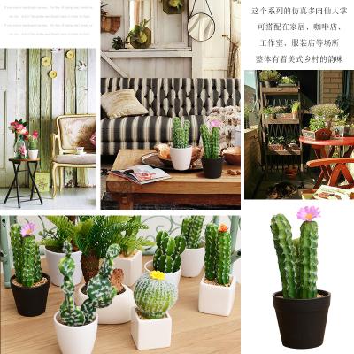 China Decoration Home Decoration Green Plants With Potted Artificial Potted Simulation Succulents Cactus for sale