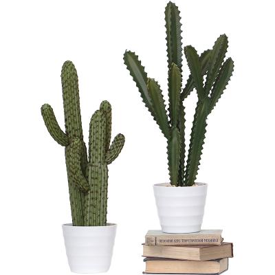 China Mini Succulent Potted Plants In Decoration Artificial Plastic Planters For Home Decoration for sale