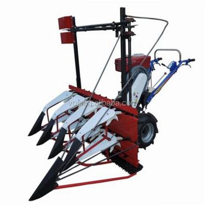 China Agricultural Harvest Maize Wheat Maize Harvester Harvester Cutter Machine For Sale, Tubular Harvester Cutting Machinery for sale