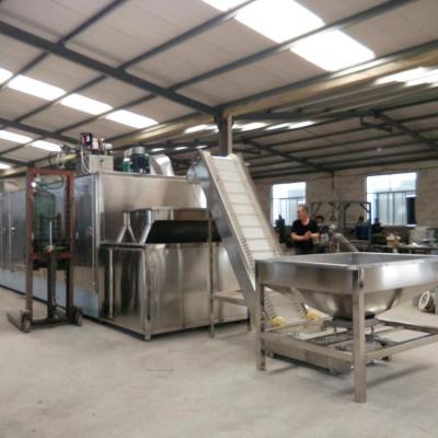 China Stainless Steel Belt Type Peanut Roasting Fruit Processing Plant SUS304 Continuous Machine for sale