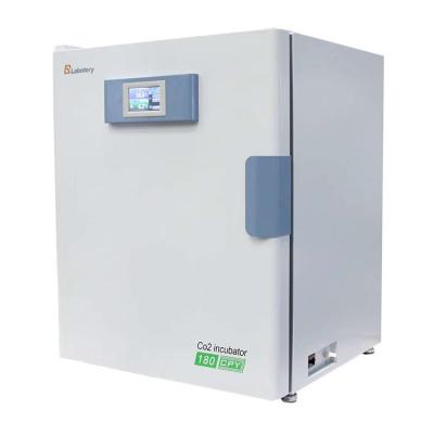 China Laboratory Culture Chemistry Laboratory Equipment CO2 Incubator Thermostatic Cell Culture Incubator Maker for sale