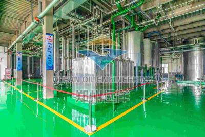 China Stainless Steel Palm Oil Refinery Machine With Complete Civil Work Installation for sale