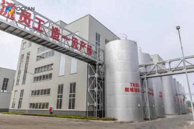 China Engineering Edible Palm Oil CPO Refinery Plant For Daily Cooking for sale