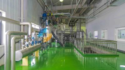 China Coconut Oil Pressing Plant Avocado Oil Processing Machine Easy Operation for sale