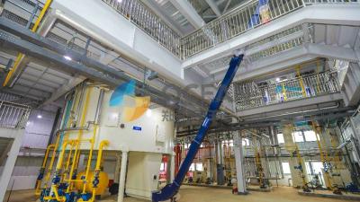 China Fully Automatic Soybean Crude Oil Refinery Plant Cottonseeds Oil Production Line for sale