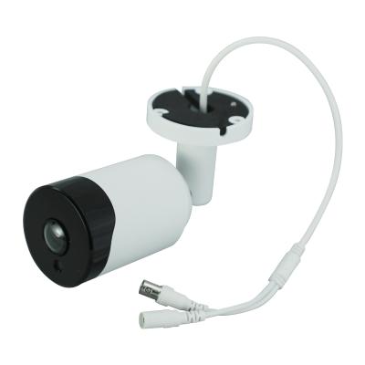 Cina 1080P AHD 360 degree camera ahd fisheye 1.8mm ir outdoor camera cctv ir camera in vendita