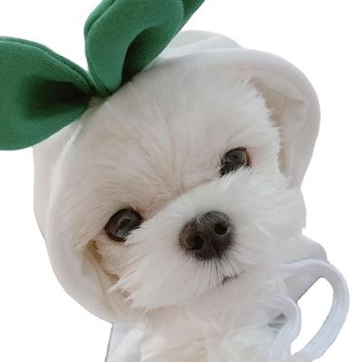 China Cute Pet Clothes Fruit Shape Dog Clothes Warm Winter Hoodies Pet Apparel For Small Dogs Bulldog Chihuahua Costume Jacket Puppy Cat Outfit for sale