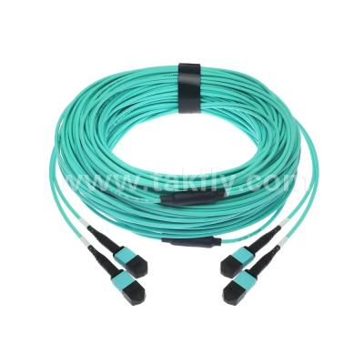 China 24 Cores MTP Trunk Cable Fiber Optic Jumper for Data Center FTTX PVC Customizable for sale