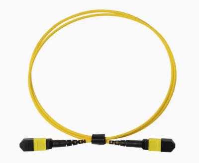 China FTTH Indoor Outdoor LSZH PVC Fiber Optical Patch Cord 12/24/48/96/144 Core LC/Sc/St/FC MPO/MTP Connector for sale