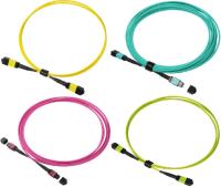 China de Kabel LSZH van 8F 12F 24F SM OM4 OM5 MPO MTP voor 40G 100G 400G Te koop