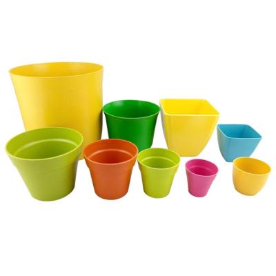 China 2016 FLOOR mini eco biodegradable bamboo fiber flower pot with seeds for sale