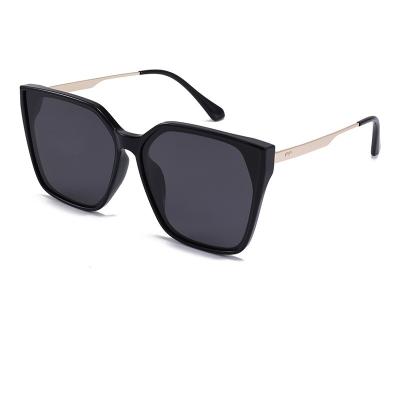 China Fashion Sunglasses Manufacturer New Sells Adult CIA Fashion Square Sunglasses For Men And Women for sale