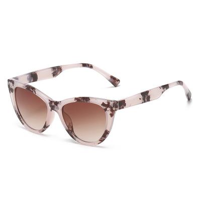 China New Fashion Sunglasses Vintage Cat Eye Border Sunglasses Gradual Color In UV Resistant Sunglasses Europe And America Double Change for sale