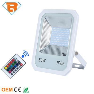 China LANDSCAPE Outdoor Programmable Color Changing 50W RGB LED Floodlight With Controller for sale