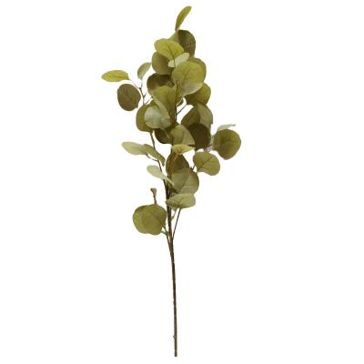 China Natural Touch / Touch Eucalyptus Eco-friendly New Design Real Leaves Single Stem Matching Green Wall for sale