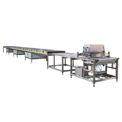 China Snack Factory Chocolate Droplets Forming Machine With Cooling Tunnel for sale