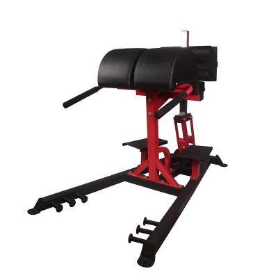 China 2020 Modern Gym Products Multifunctional Adjustable Bench For Exercises ABS Situp Semicircle Sports Home Fitness Bench Gym Equipment for sale