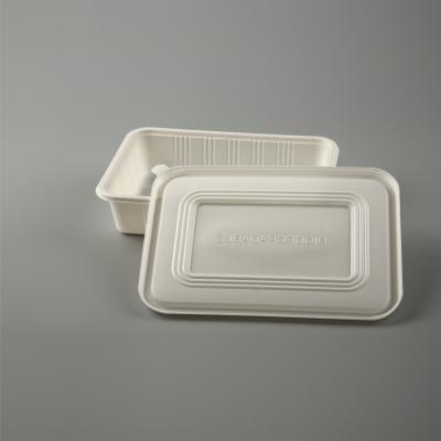 China Biodegradable Disposable Food Containers OEM 650ml Biodegradable Take Out Container for sale