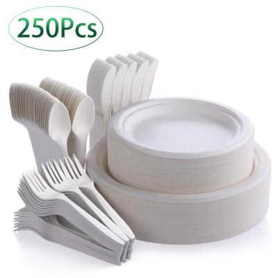 China 250pcs Sustainable Biodegradable Tableware Set For Outdoor Party for sale