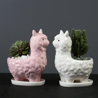 China Ceramic Drainage Tray Ceramic Flower Pots Cartoon Supply Lovely Amazon Alpaca Succulent Plant Pots And Planters for sale